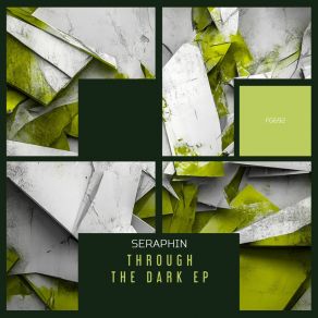 Through The Dark album cover
