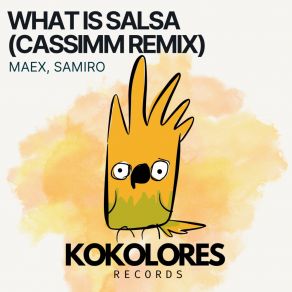 What Is Salsa (CASSIMM Remix) album cover