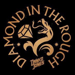 Diamond In The Rough (Single) album cover