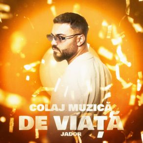 Colaj Muzică De Viață (Live) album cover