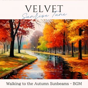 Walking To The Autumn Sunbeams - BGM album cover