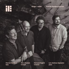 Slinger I Valsen album cover