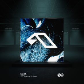25 Years Of Anjuna Mixed By Marsh (CD2) album cover