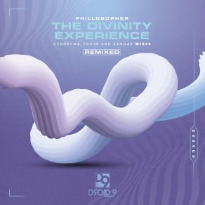 The Divinity Experience album cover