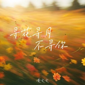 寻花寻月不寻你 (DJ九零版) album cover