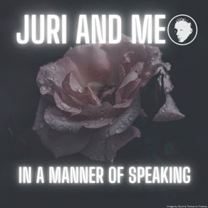 In A Manner Of Speaking album cover