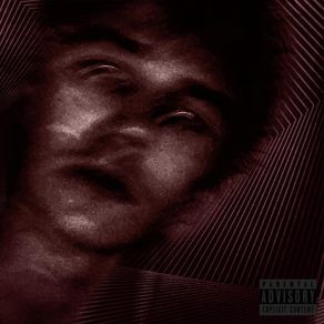 Ecto album cover