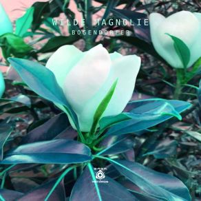 Wilde Magnolie album cover