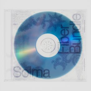 Fiber Bundle album cover