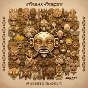 Psychedelic Fragments album cover