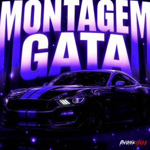 MONTAGEM GATA album cover