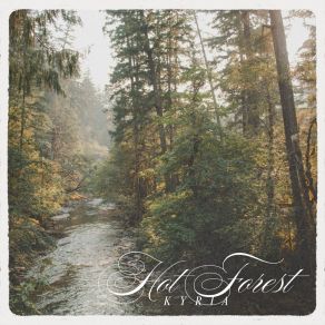 Hot Forest album cover
