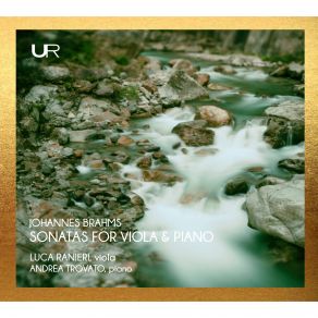 Brahms: Sonatas For Viola & Piano album cover