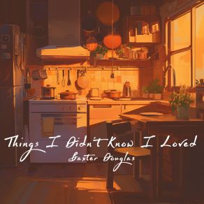 Things I Didn't Know I Loved album cover