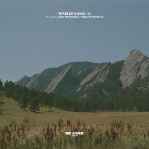 Three Of A Kind # 36 album cover