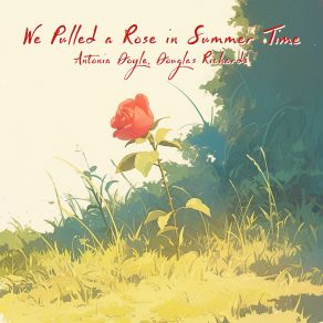 We Pulled A Rose In Summer Time album cover
