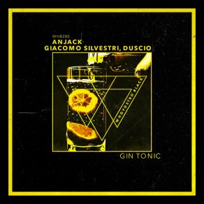 Gin Tonic (Original Mix) album cover