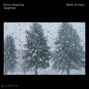 Book Of Days album cover
