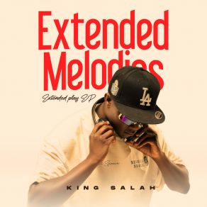 Extended Melodies album cover