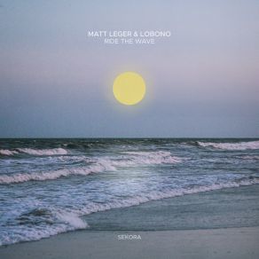 Ride The Wave album cover