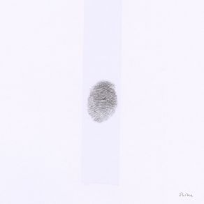 S H I N E album cover