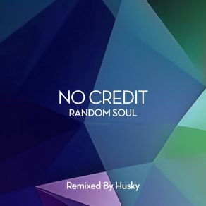 No Credit (Husky Remix) album cover