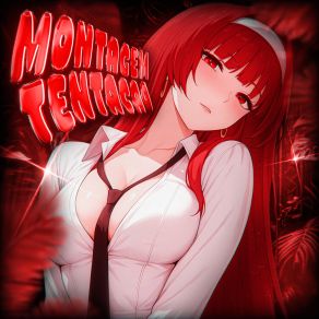 MONTAGEM TENTAÇÃO album cover