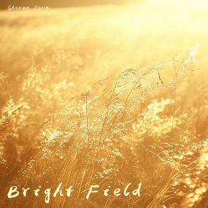 Bright Field album cover