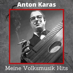 Meine Volksmusik Hits album cover