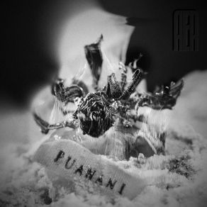 Puanani album cover
