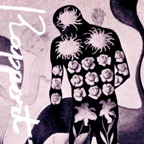 Rapport album cover