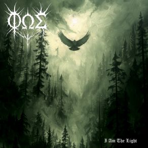 I Am The Light album cover