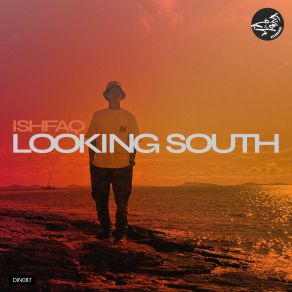 Looking South album cover