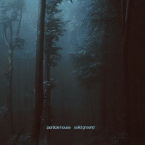 Solid Ground (Single) album cover