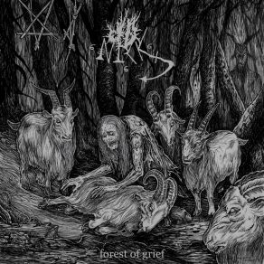 Forest Of Grief album cover