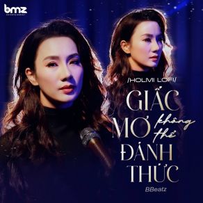 Giấc Mơ Không Thể Đánh Thức (Holmi Lofi) album cover