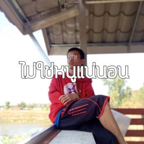 ไม่ใช่หนูแน่นอน album cover