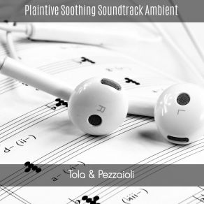 Plaintive Soothing Soundtrack Ambient album cover