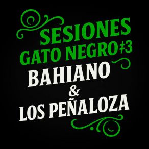 SESIONES GATO NEGRO # 3 (En Vivo) album cover