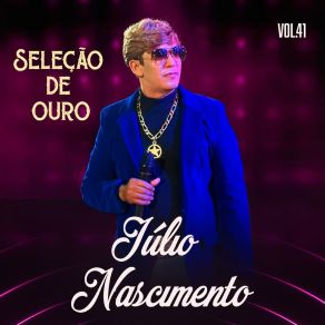 Seleção De Ouro, Vol. 41 album cover