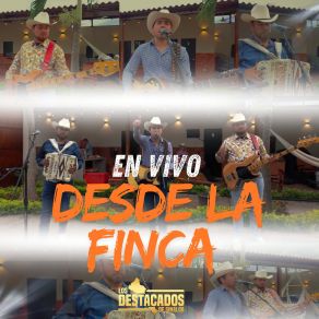 En Vivo Desde La Finca album cover