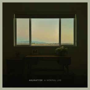A Normal Life album cover
