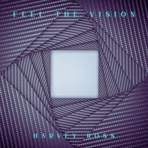 Feel The Vision album cover