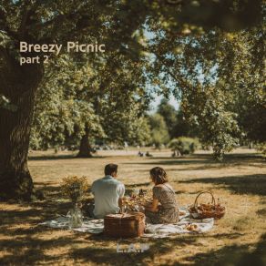 Breezy Picnic Pt. 2 album cover