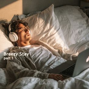 Breezy Stay Pt. 1 album cover