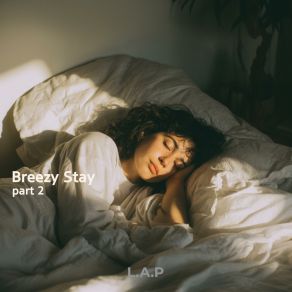 Breezy Stay Pt. 2 album cover