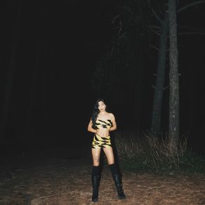 Alian album cover
