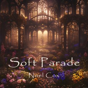 Soft Parade album cover