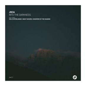 Into The Darkness album cover