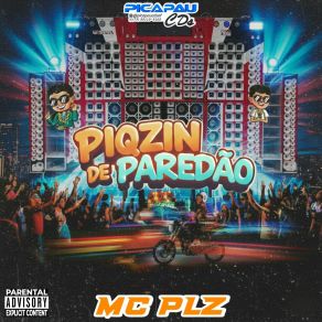 Piqzin De Paredão album cover